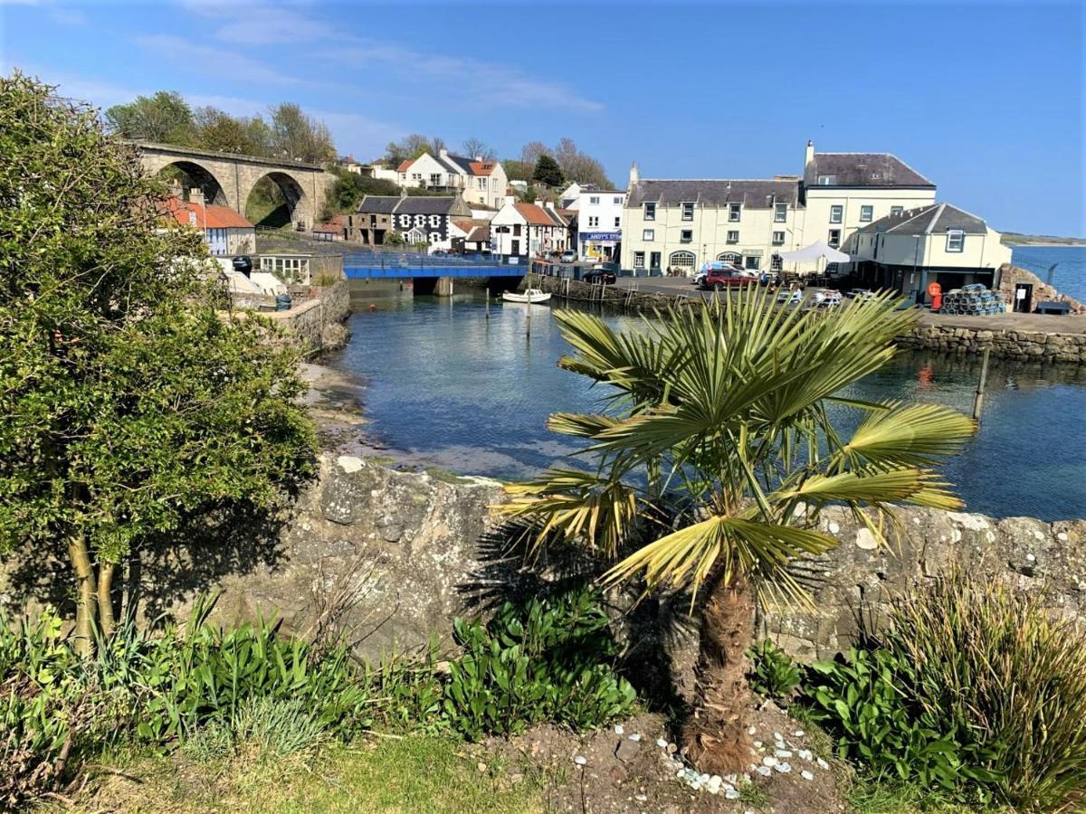 فيلا The Wee Blue House, East Neuk لاور لارغو المظهر الخارجي الصورة